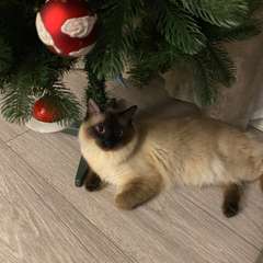 Фото отзыва 10910108