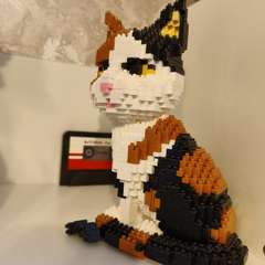 Фото отзыва 11177381