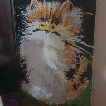 Картина по номерам Ты Гений! Пушистый котофей: отзыв пользователя Детский Мир