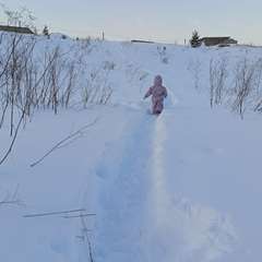 Фото отзыва 10866602