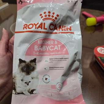 Корм для котят Royal Canin Mother and Babycat 400г: отзыв пользователя. Зоомагазин Зоозавр