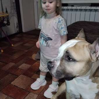 Кроссовки Tombi: отзыв пользователя Детский Мир