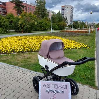 Коляска 2 в 1 Adamex Reggio Retro: отзыв пользователя Детский Мир
