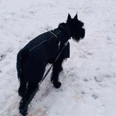 Фото отзыва 10673884