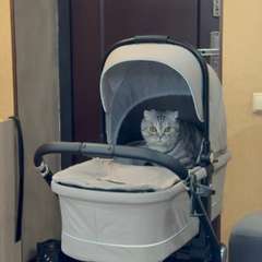 Фото отзыва 11068408