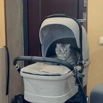 Коляска 3в1 JOVOLA Pepper 3в1, бежевый: отзыв пользователя Детский Мир