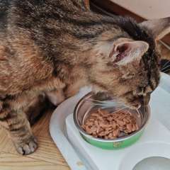 Видео отзыва 11023508