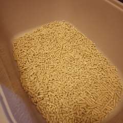 Фото отзыва 10450208