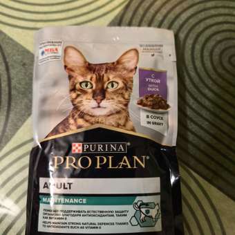 Корм влажный для кошек PRO PLAN MAINTENANCE 85г с уткой в соусе: отзыв пользователя. Зоомагазин Зоозавр