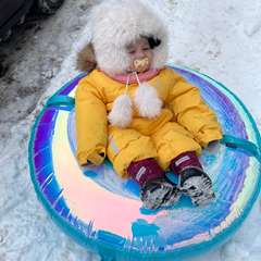 Фото отзыва 10918121