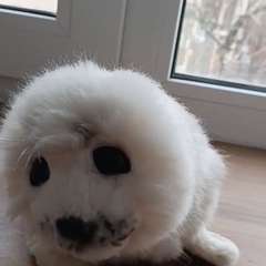 Фото отзыва 11143633