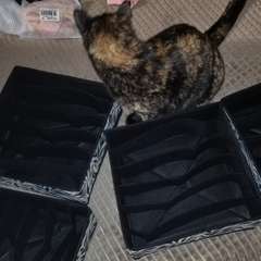 Фото отзыва 7538