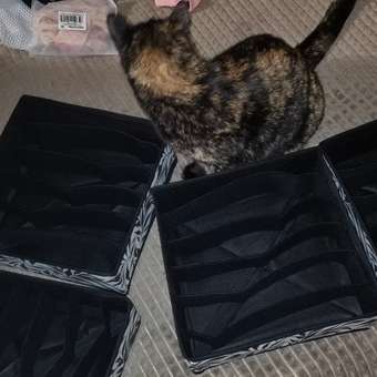 Короб для хранения ё 6 секций Листья 30*30*10см: отзыв пользователя магазина низких цен ЕЩЁ