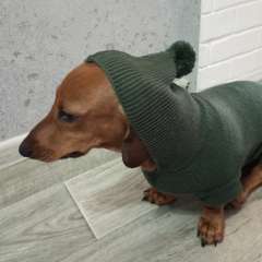 Фото отзыва 10342847