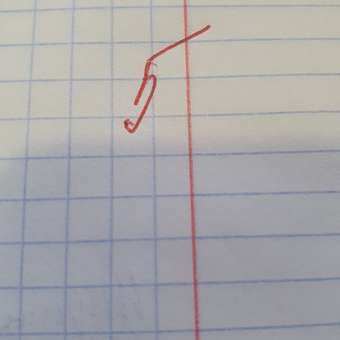 Тетрадь ErichKrause клетка 24 лист. в ассортименте: отзыв пользователя Детский Мир