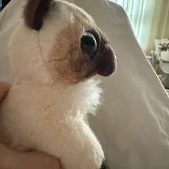 Фото отзыва 11169168