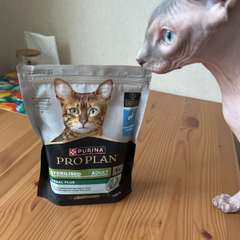 Фото отзыва 10877147