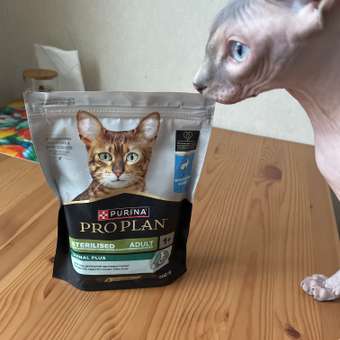 Корм сухой для кошек PRO PLAN RENAL PLUS 200г с индейкой для стерилизованных: отзыв пользователя. Зоомагазин Зоозавр