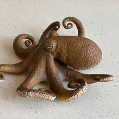 Фото отзыва 4742674