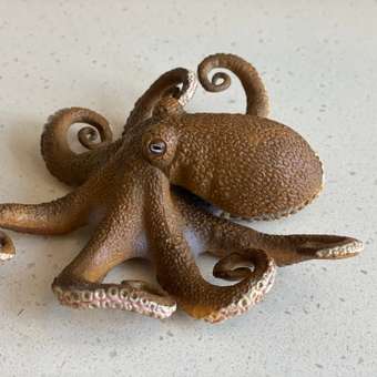 Фигурка Collecta Осьминог: отзыв пользователя Детский Мир