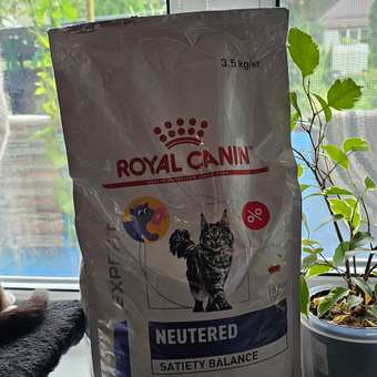 Корм для кошек ROYAL CANIN Neutered Satiety Balance стерилизованных 3.5кг: отзыв пользователя. Зоомагазин Зоозавр