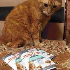 Фото отзыва 10693524