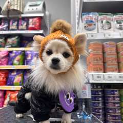 Фото отзыва 10468437