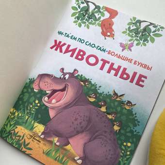 Книга АСТ Первые книжки Животные: отзыв пользователя Детский Мир
