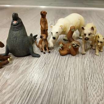 Игровой набор Attivio Тюлень: отзыв пользователя Детский Мир