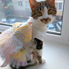 Фото отзыва 10980428