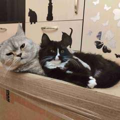 Фото отзыва 10544580