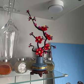 Конструктор LEGO Botanicals Цветение сливы: отзыв пользователя Детский Мир