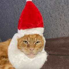 Фото отзыва 10723371