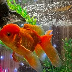 Фото отзыва 10884167