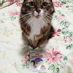 Фото отзыва 10544732