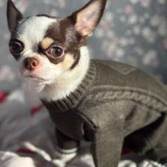 Фото отзыва 10507551