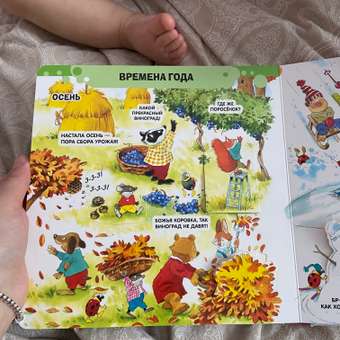 Книга Эксмо 3+ 100 окошек - открывай-ка!: отзыв пользователя ДетМир