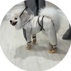 Фото отзыва 10617675