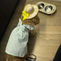 Фото отзыва 11031003