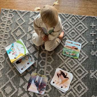 Настольная игра Yogastika: отзыв пользователя Детский Мир