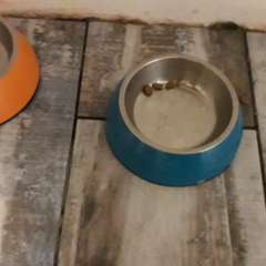 Фото отзыва 10576530