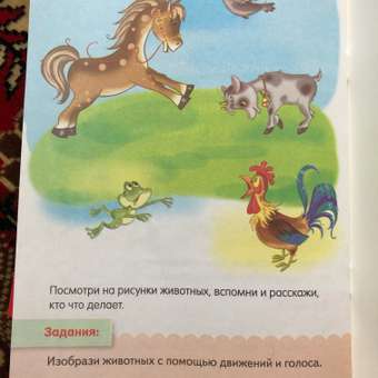 Набор книг Hatber Развивающие сказки для детей. 4 шт: отзыв пользователя Детский Мир