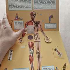 Фото отзыва 10485964