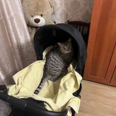 Фото отзыва 10965162