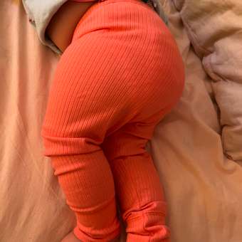 Лосины artie: отзыв пользователя Детский Мир