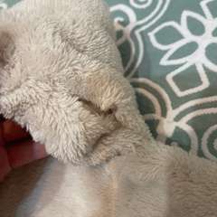 Фото отзыва 10600277