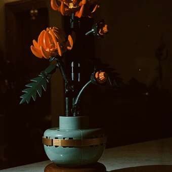 Конструктор LEGO Botanicals Хризантема: отзыв пользователя Детский Мир