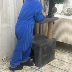 Фото отзыва 10751551