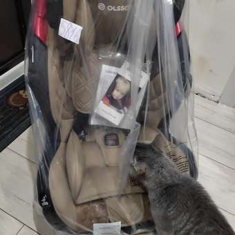 Автокресло Olsson Voyage Brown 1/2/3 (9-36 кг) коричневый: отзыв пользователя ДетМир