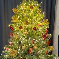 Фото отзыва 10838375